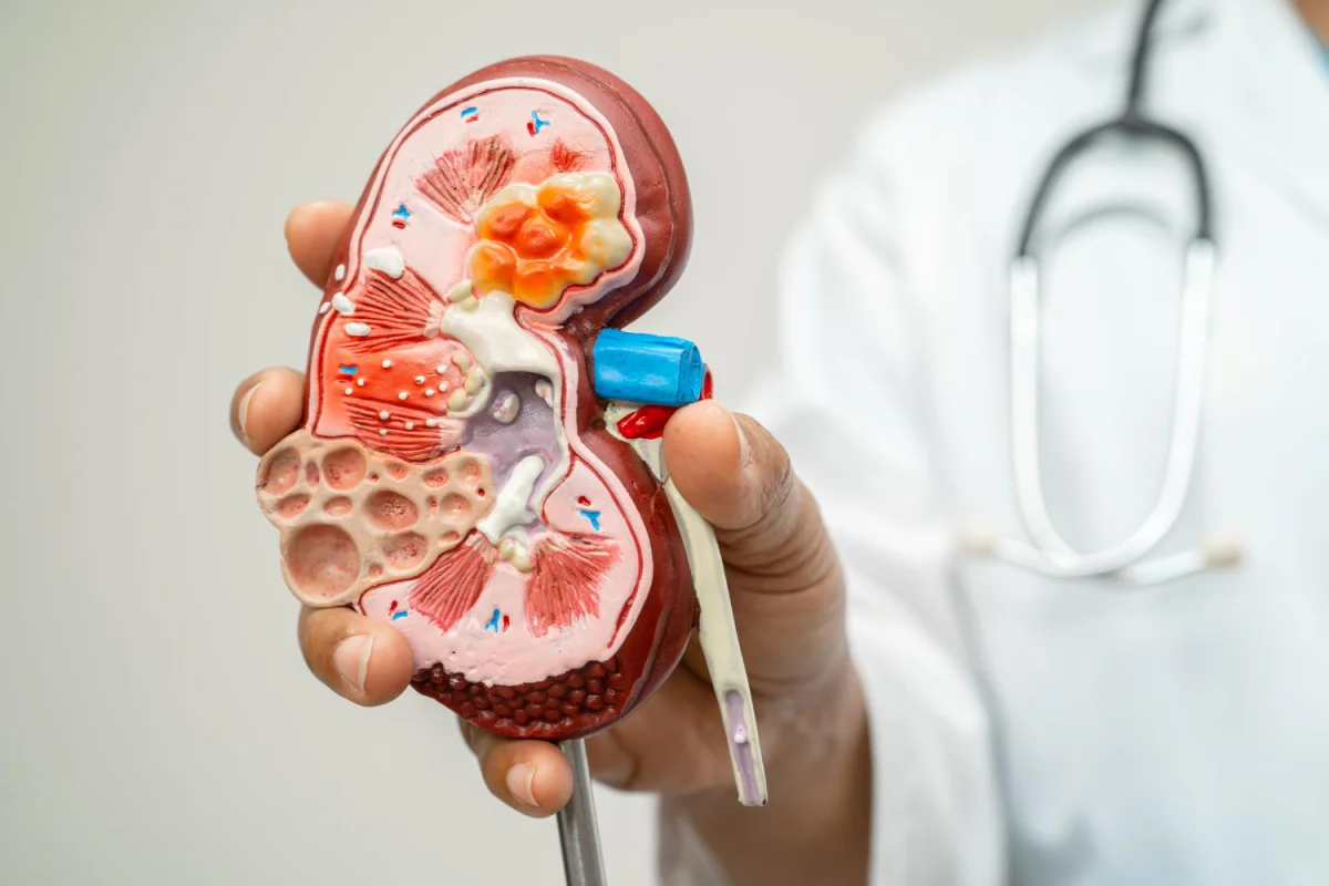 Silent Killer: Early Urinary Symptoms You Should Never Ignore