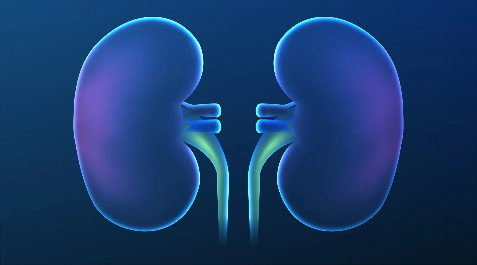 Ureteric Stenting (DJ Stent) Banner