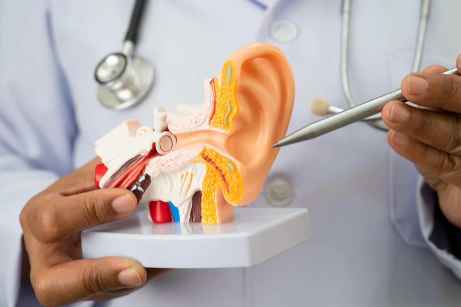 Tinnitus Management Banner