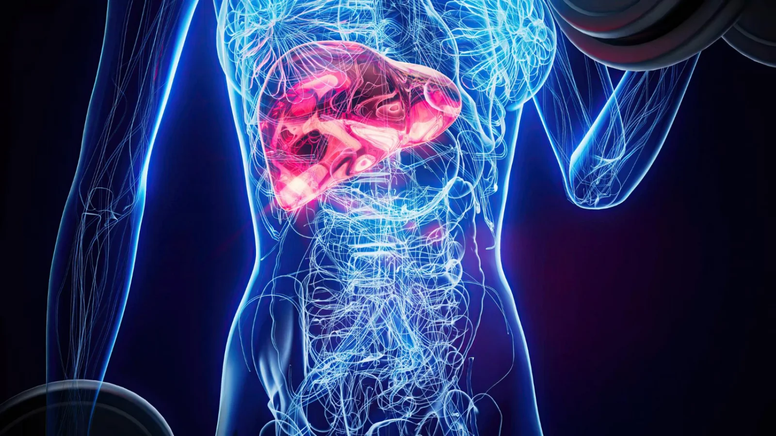 Pancreatic Pseudocyst Drainage (External / Internal) Banner