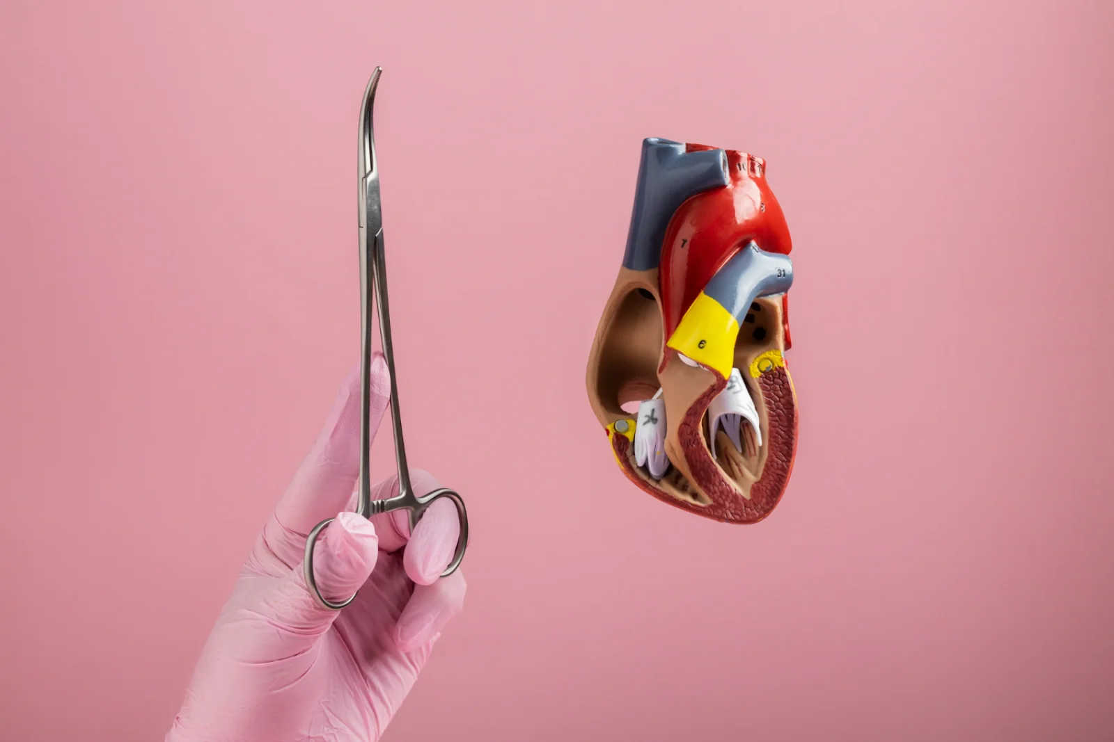 Aortic Aneurysm / Aortic Dissection Banner