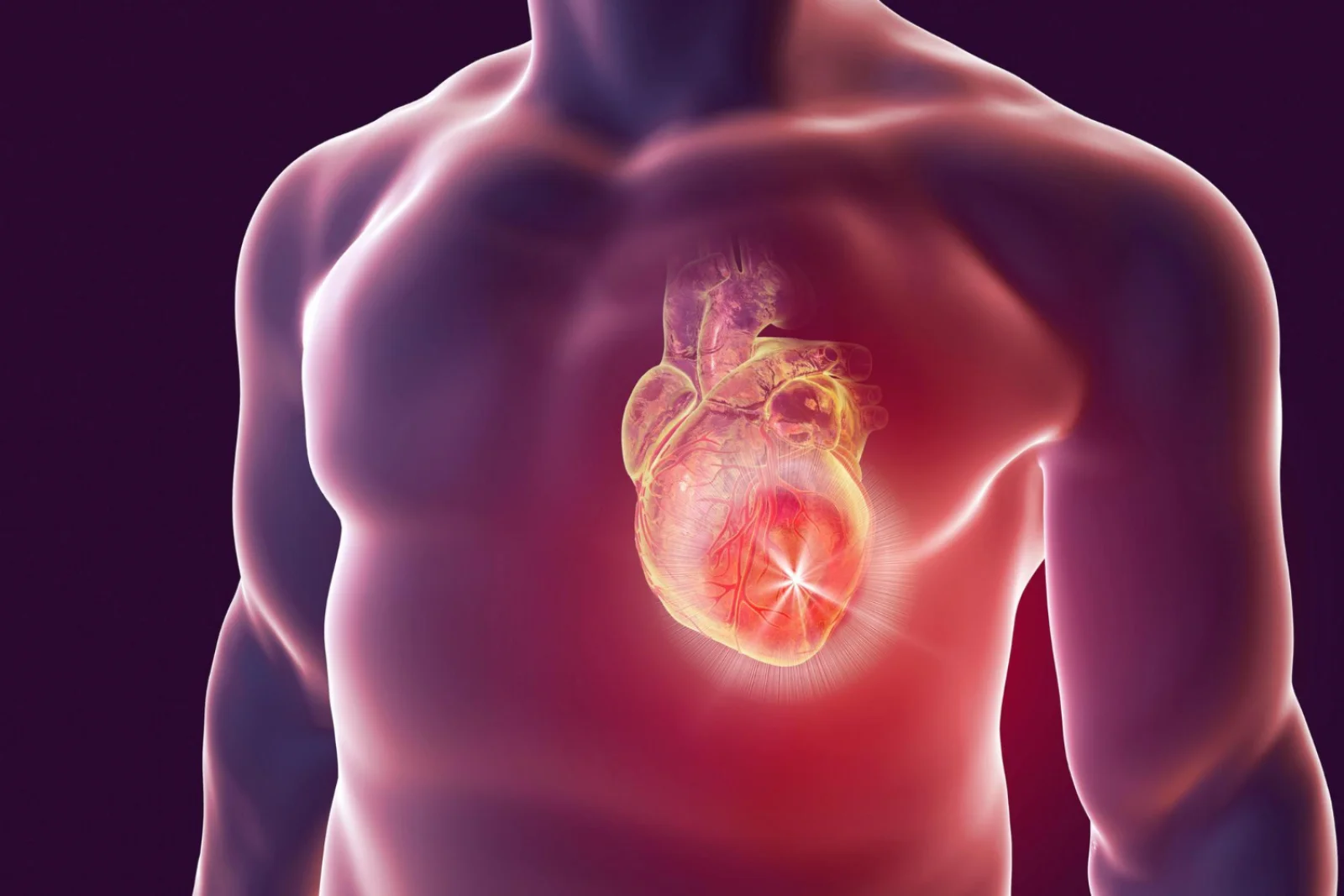 Cardiac Tumors (Primary / Secondary) Banner
