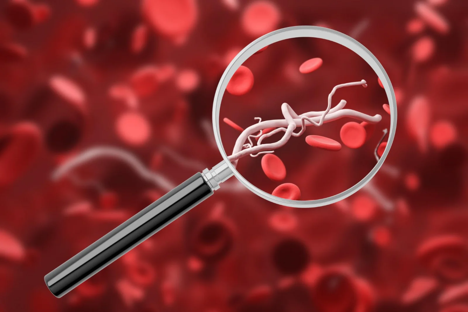 Anticoagulation / Antiplatelet Therapy Banner