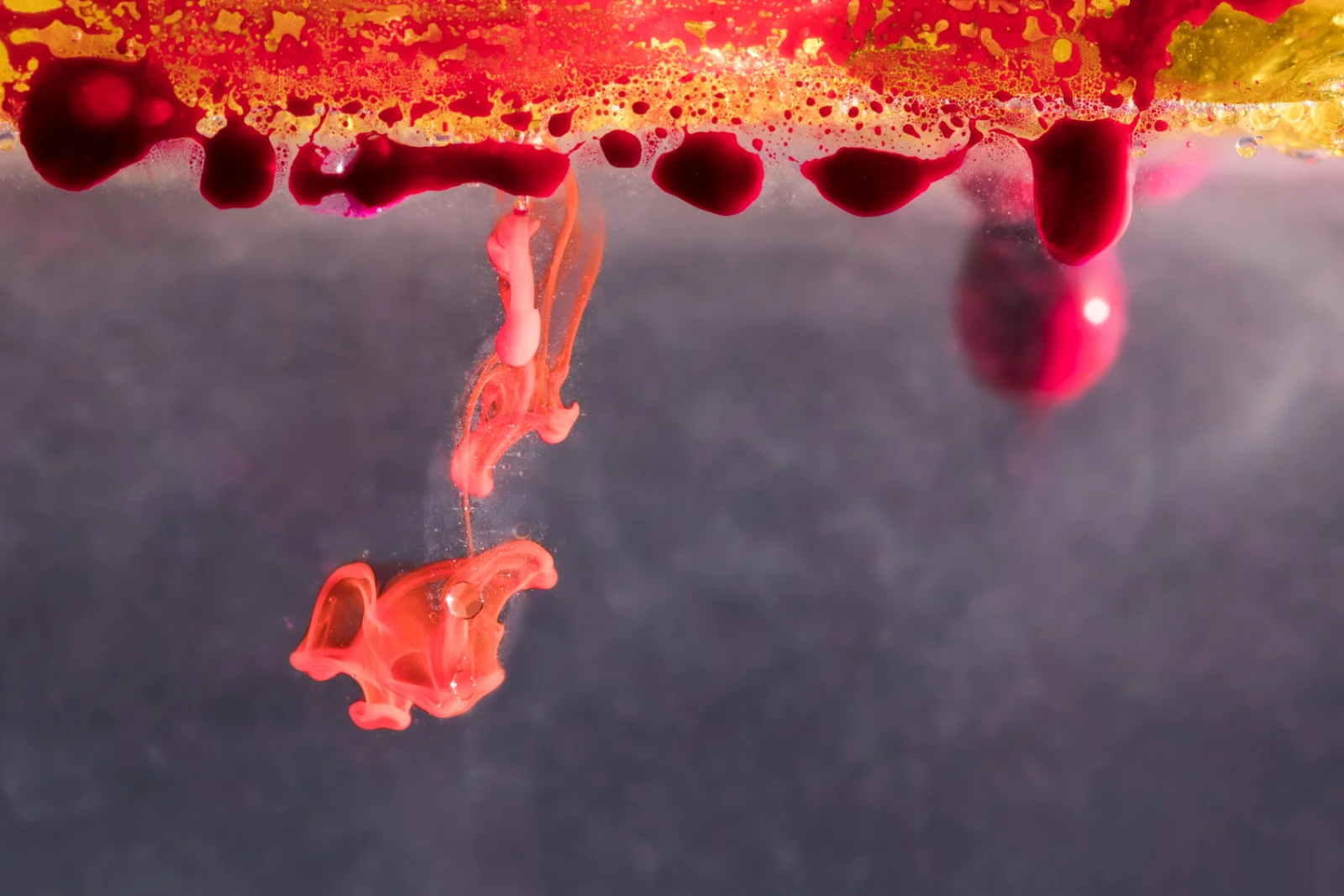 ECMO (Extracorporeal Membrane Oxygenation) in Selected Cases Banner