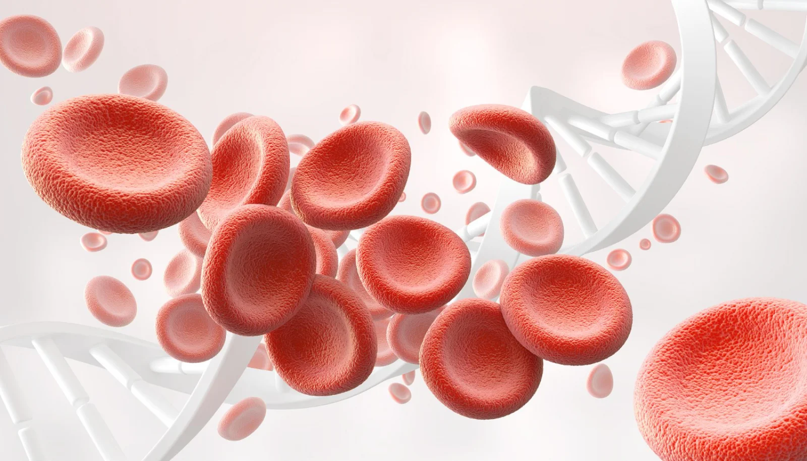 Antiplatelet Therapy (Aspirin, Clopidogrel) Banner
