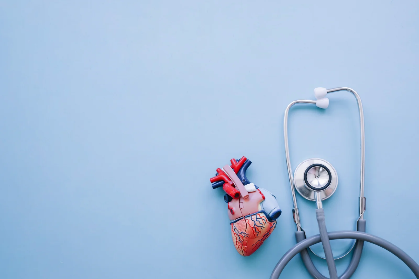 Pacemaker / ICD Implantation Facility Banner
