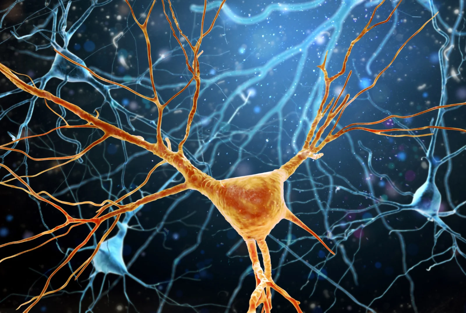 Selective Nerve Root Block Banner