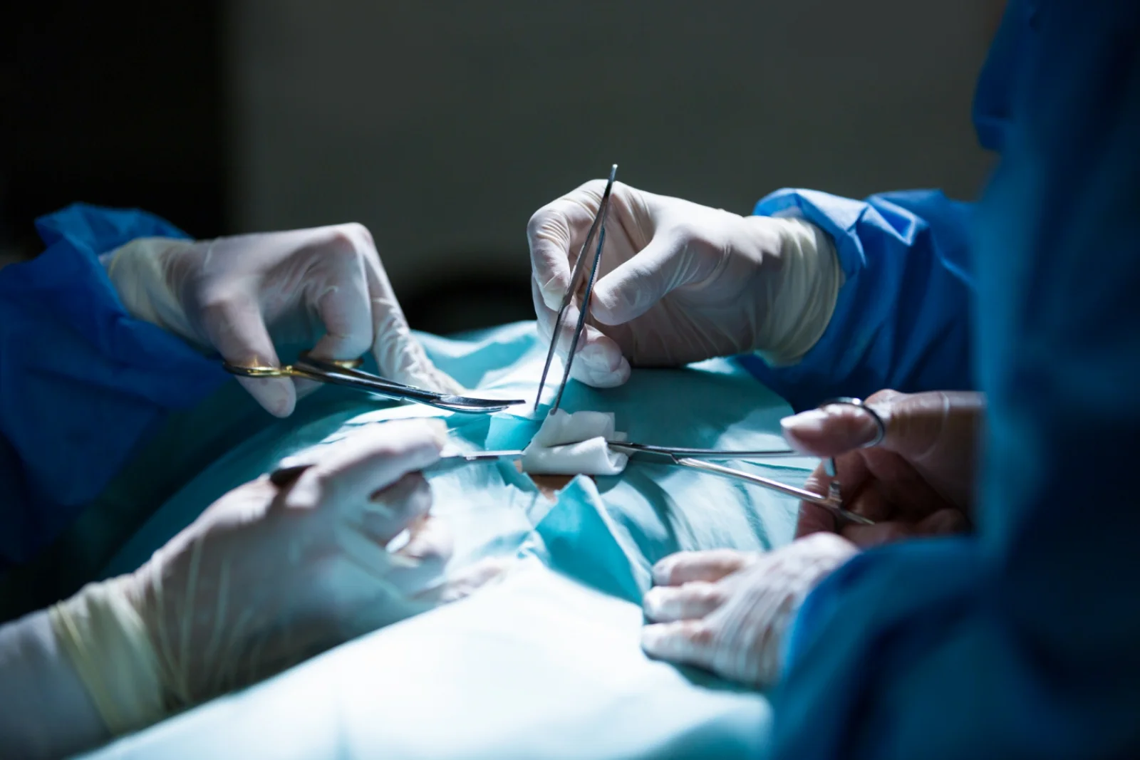 Surgical Sutures / Staplers / Mesh Banner