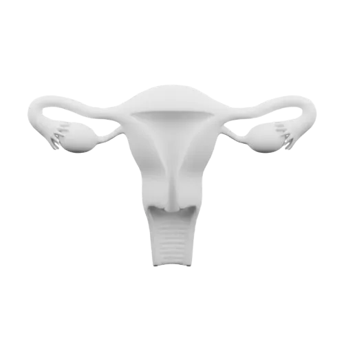 Obstetrics and Gynaecology(Women care)