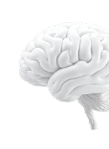 Neurology (Brain Care)
