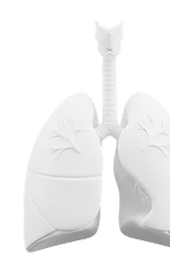 Pulmonology (Lung Care)