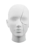 Plastic & Reconstructive Surgery