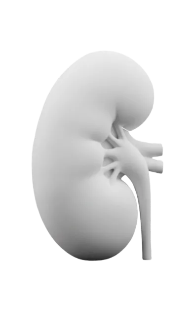 Nephrology