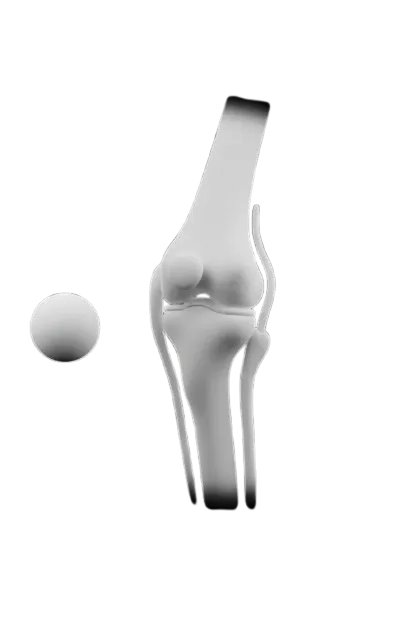 Rheumatology
