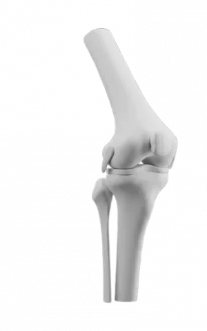 Orthopedics (Bone & Joint Care)