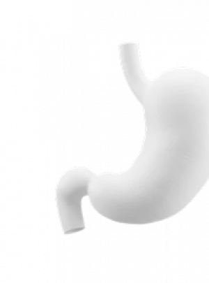 Gastroenterology