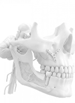 Oral & Maxillofacial Surgery